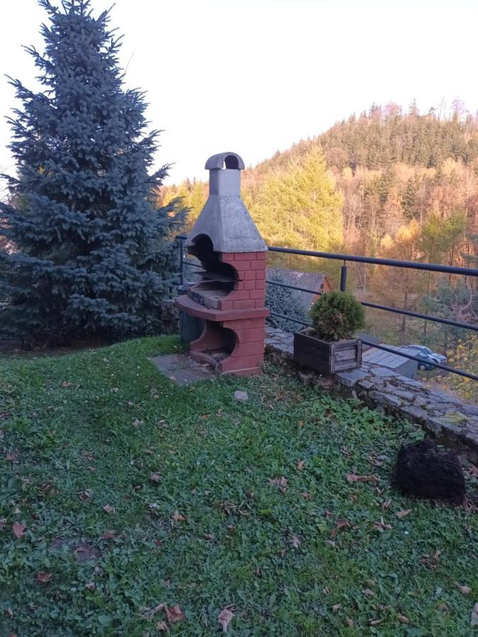 Villa Marcela Karpacz Extérieur photo
